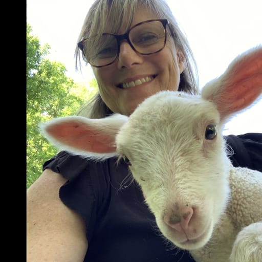 Profile image for pet sitter Karen