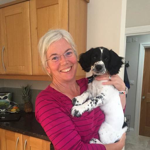 Profile image for pet sitter Teresa