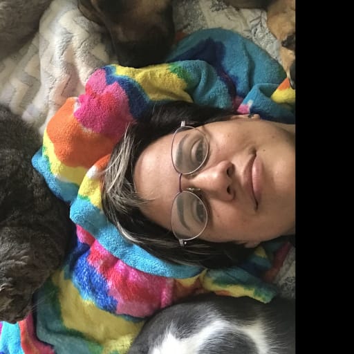 Profile image for pet sitter Mercedes Noely