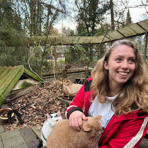 Profile image for pet sitter Amber