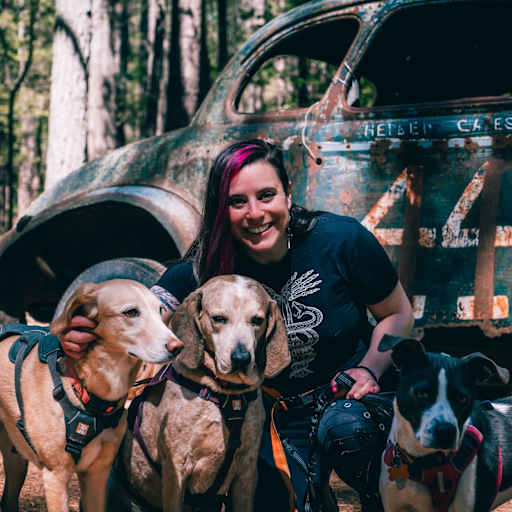Profile image for pet sitter Talin