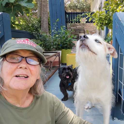 Profile image for pet sitter Cindy