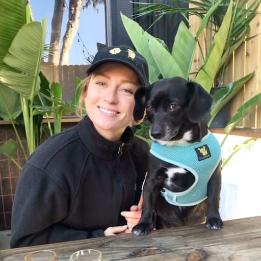 Profile image for pet sitter Ashley