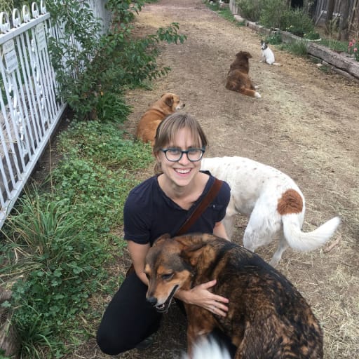 Profile image for pet sitter Bethany