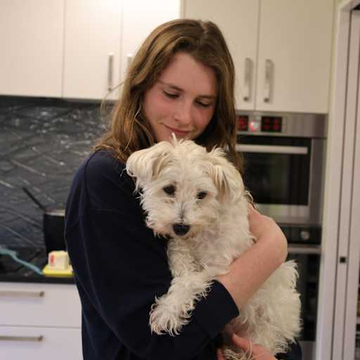Profile image for pet sitters Kate & Samuel