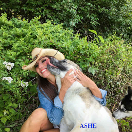 Profile image for pet sitter Nicole