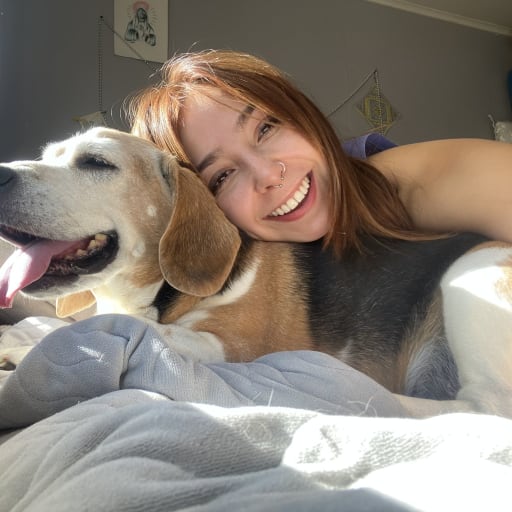 Profile image for pet sitter Francesca