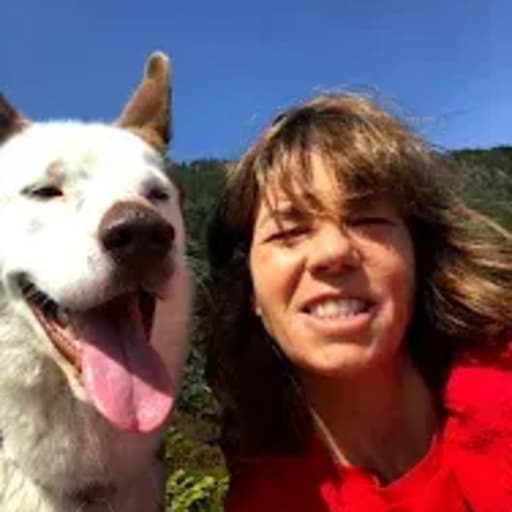Profile image for pet sitter Laura Domínguez