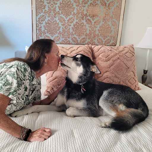 Profile image for pet sitter Tess