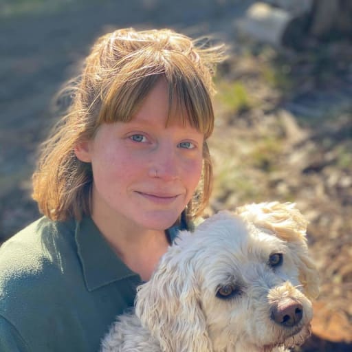 Profile image for pet sitter Ine