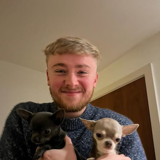 Profile image for pet sitter Conor