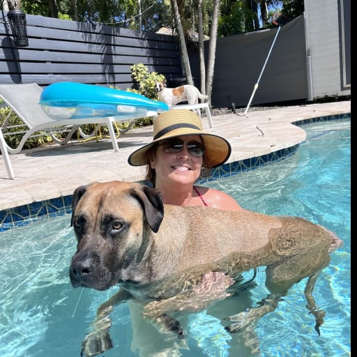 Profile image for pet sitter Casey