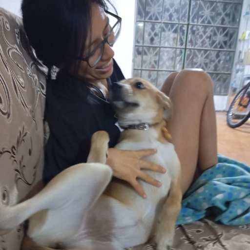 Profile image for pet sitter Melissa