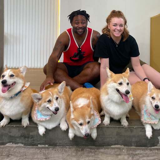 Profile image for pet sitters Sara & Tony