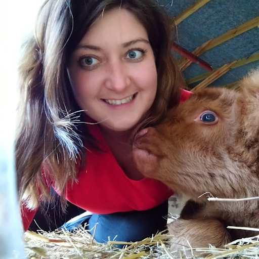 Profile image for pet sitters Marzena & Czesław