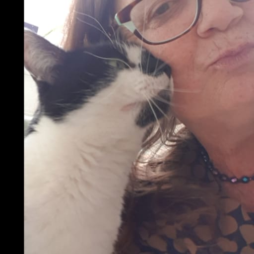Profile image for pet sitter Rosie