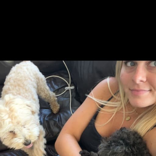 Profile image for pet sitter Callie