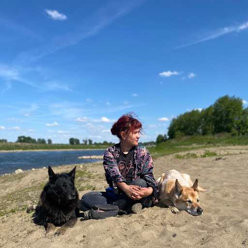 Profile image for pet sitter Tessa