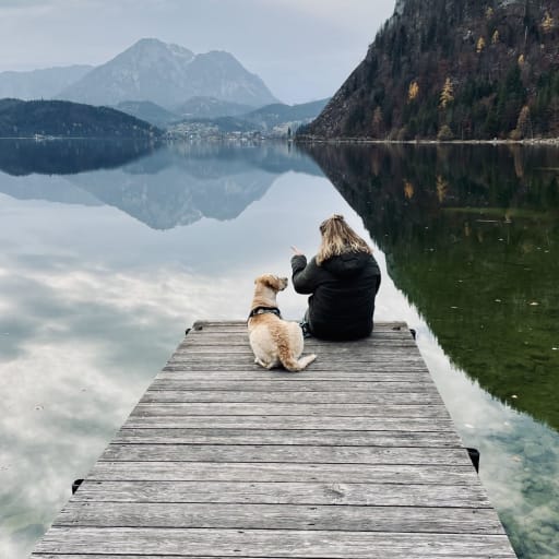 Profile image for pet sitters Anna & Alina 
