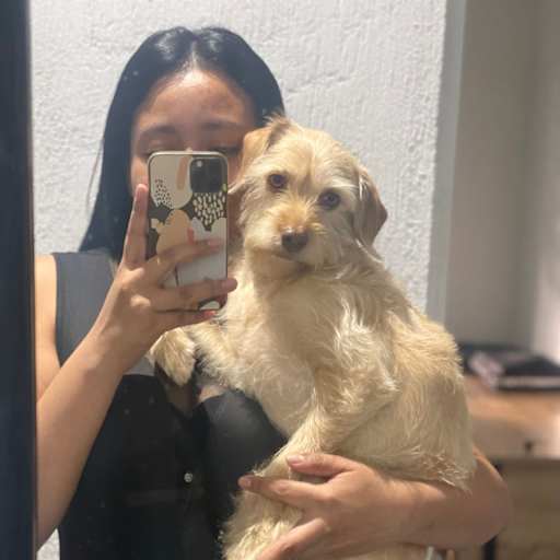 Profile image for pet sitter Milvia