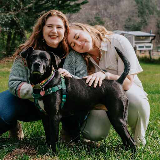 Profile image for pet sitters Jennie & Chantelle