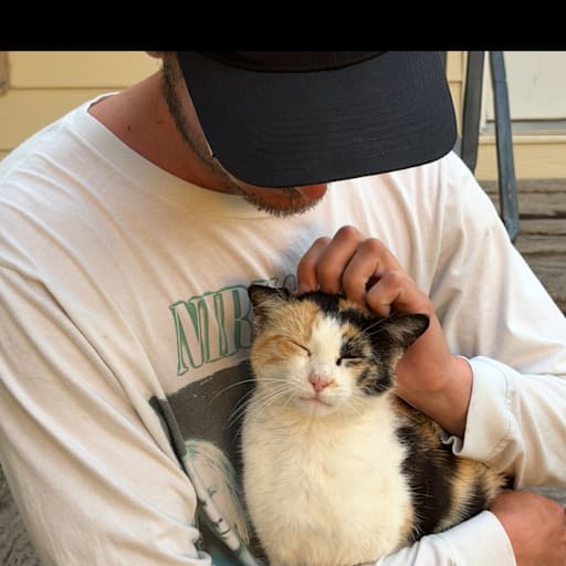 Profile image for pet sitter Derek