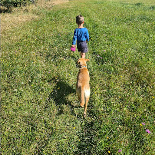 Profile image for pet sitters Katerina & Otakar