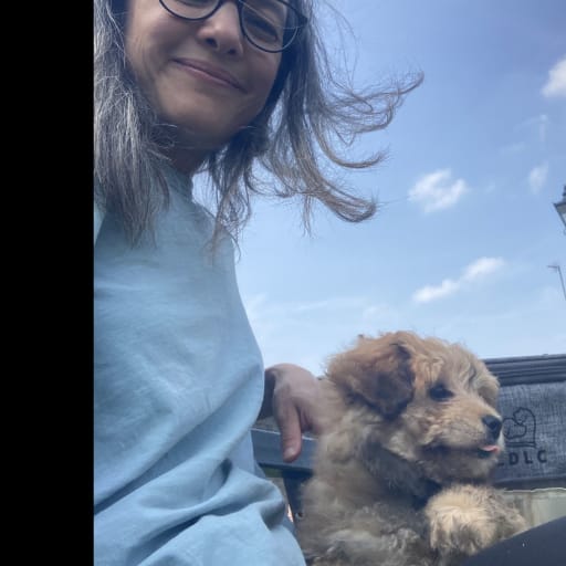 Profile image for pet sitters Helen & Adrian 