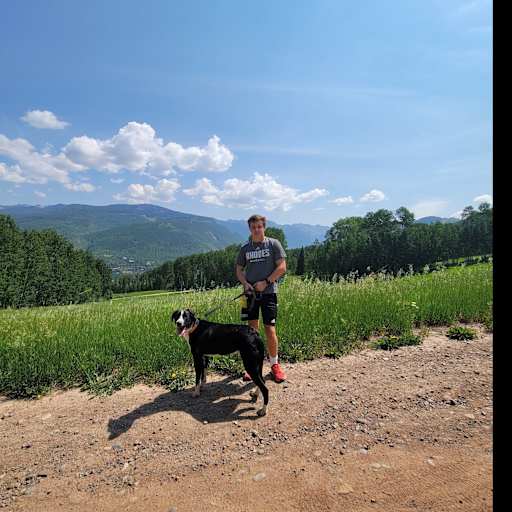 Profile image for pet sitter Drew