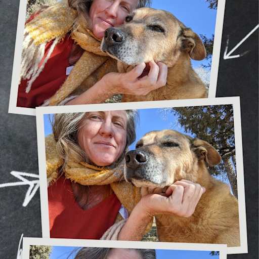 Profile image for pet sitter Faith