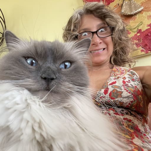 Profile image for pet sitter gina