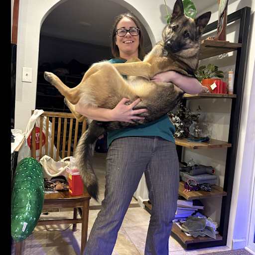 Profile image for pet sitter Shale