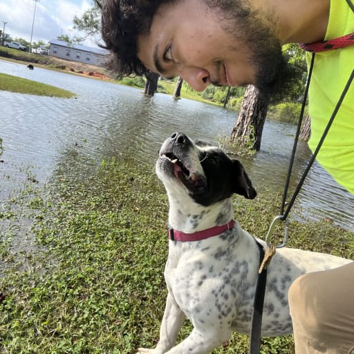 Profile image for pet sitter Raymond