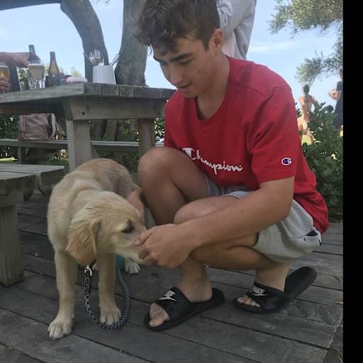 Profile image for pet sitter Sam