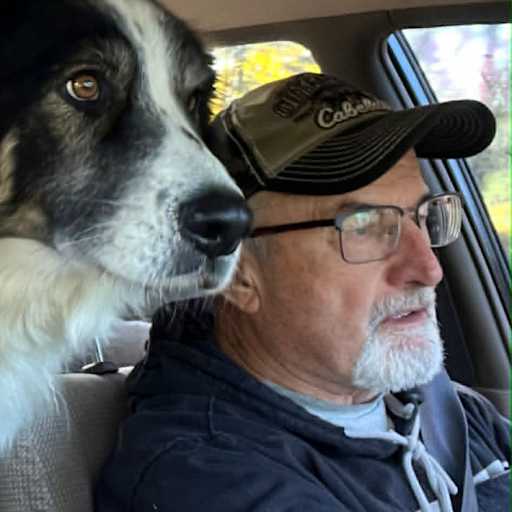 Profile image for pet sitter John