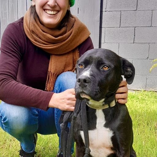 Profile image for pet sitter Emma