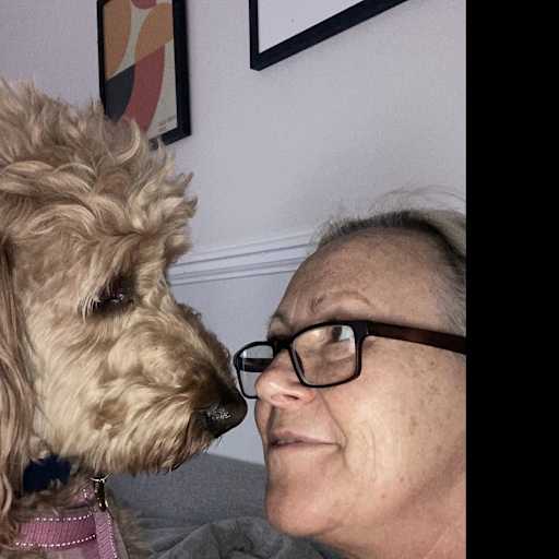 Profile image for pet sitter Louise