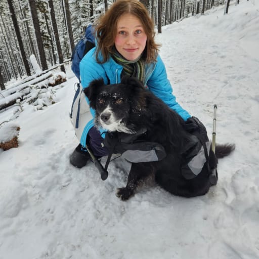 Profile image for pet sitter Jordan