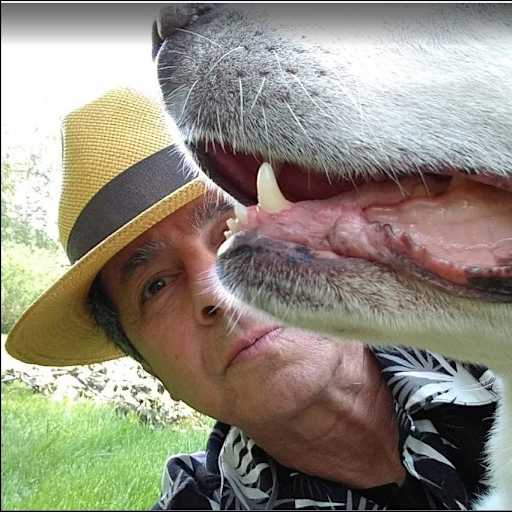 Profile image for pet sitter Richard