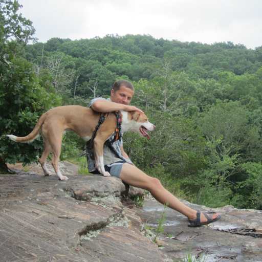 Profile image for pet sitters Adan & Jj