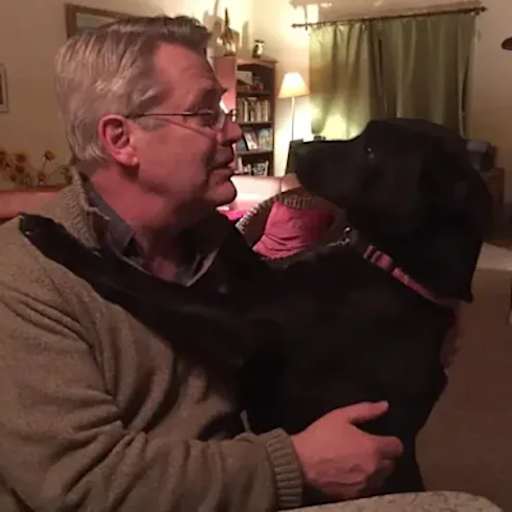 Profile image for pet sitter Mark