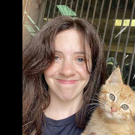 Profile image for pet sitters Vicky & Eric