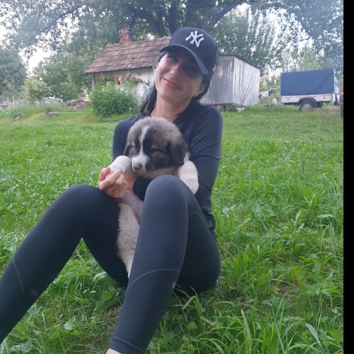 Profile image for pet sitter Raluca Anca