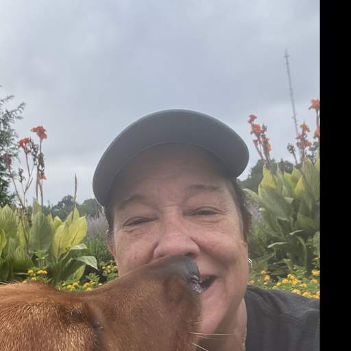 Profile image for pet sitter Marjorie