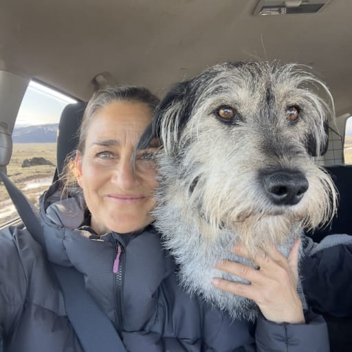 Profile image for pet sitter Patricia