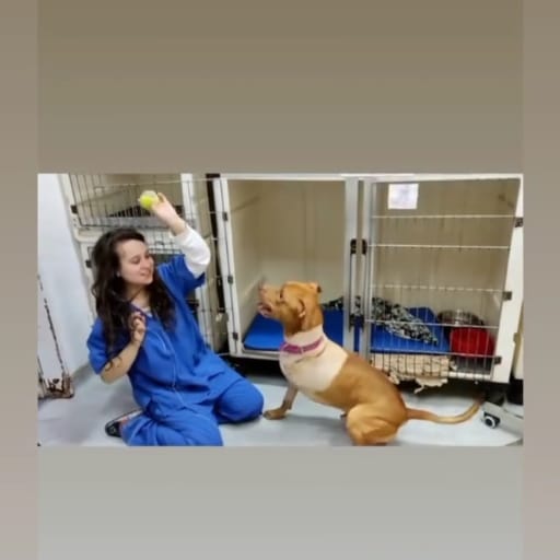 Profile image for pet sitter Anahí