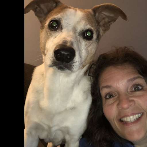 Profile image for pet sitter Christina