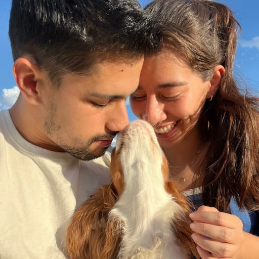 Profile image for pet sitters Alexandra & Sebastian
