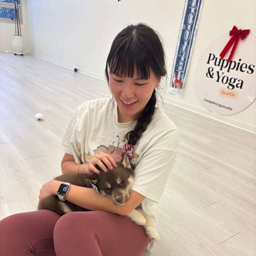Profile image for pet sitter Yajing