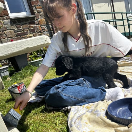 Profile image for pet sitter Lydia